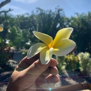 Meet your Posher, Deborah